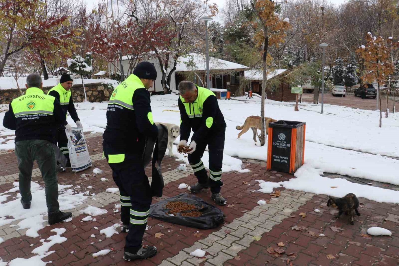 Zorlu Kış Şartlarında Sokak Hayvanları da Unutulmadı