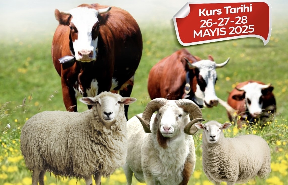 Malatya Büyükşehir Belediyesi Profesyonel Kurban Kesim Kursu Düzenliyor