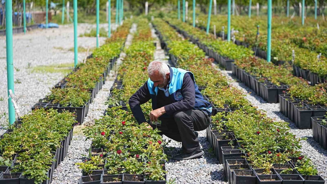 Battalgazi’nin Park ve Bahçeleri Baharın Gelişiyle Daha Estetik