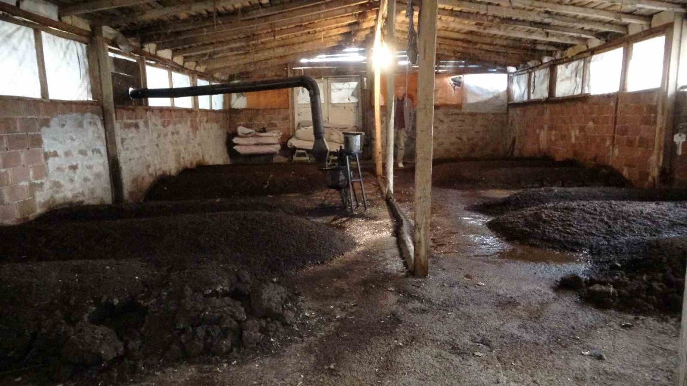 Solucan Gübresi İle Bitkiler Sağlıklı ve Kaliteli Ürünler Veriyor