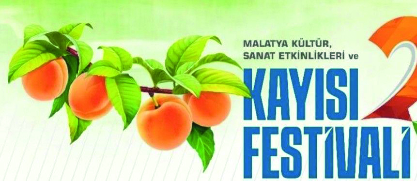 Kayısı Festivali'nin Tarihi Belli Oldu!