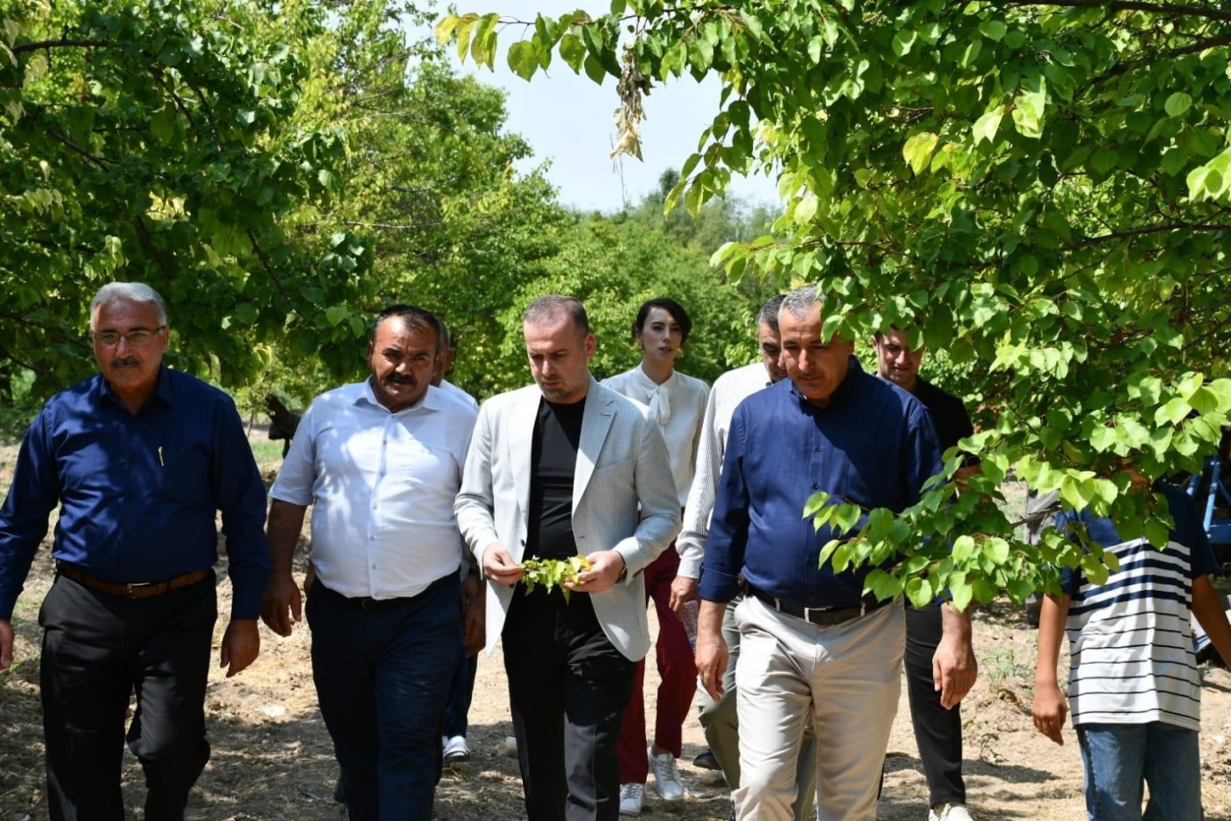 Başkan Salih Karademir,Kayısı Üreticileri İçin İvedi Eylem Planı Talep Etti