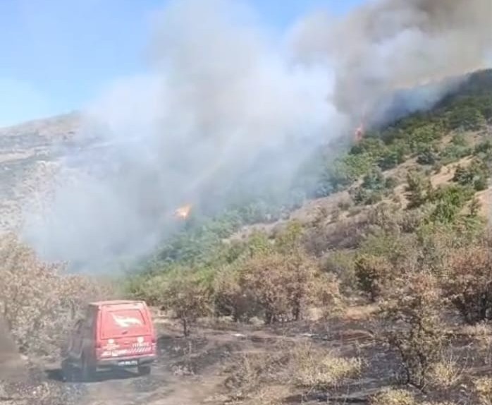 Malatya’nın Doğanyol ilçesi Kırsalında Orman Yangını