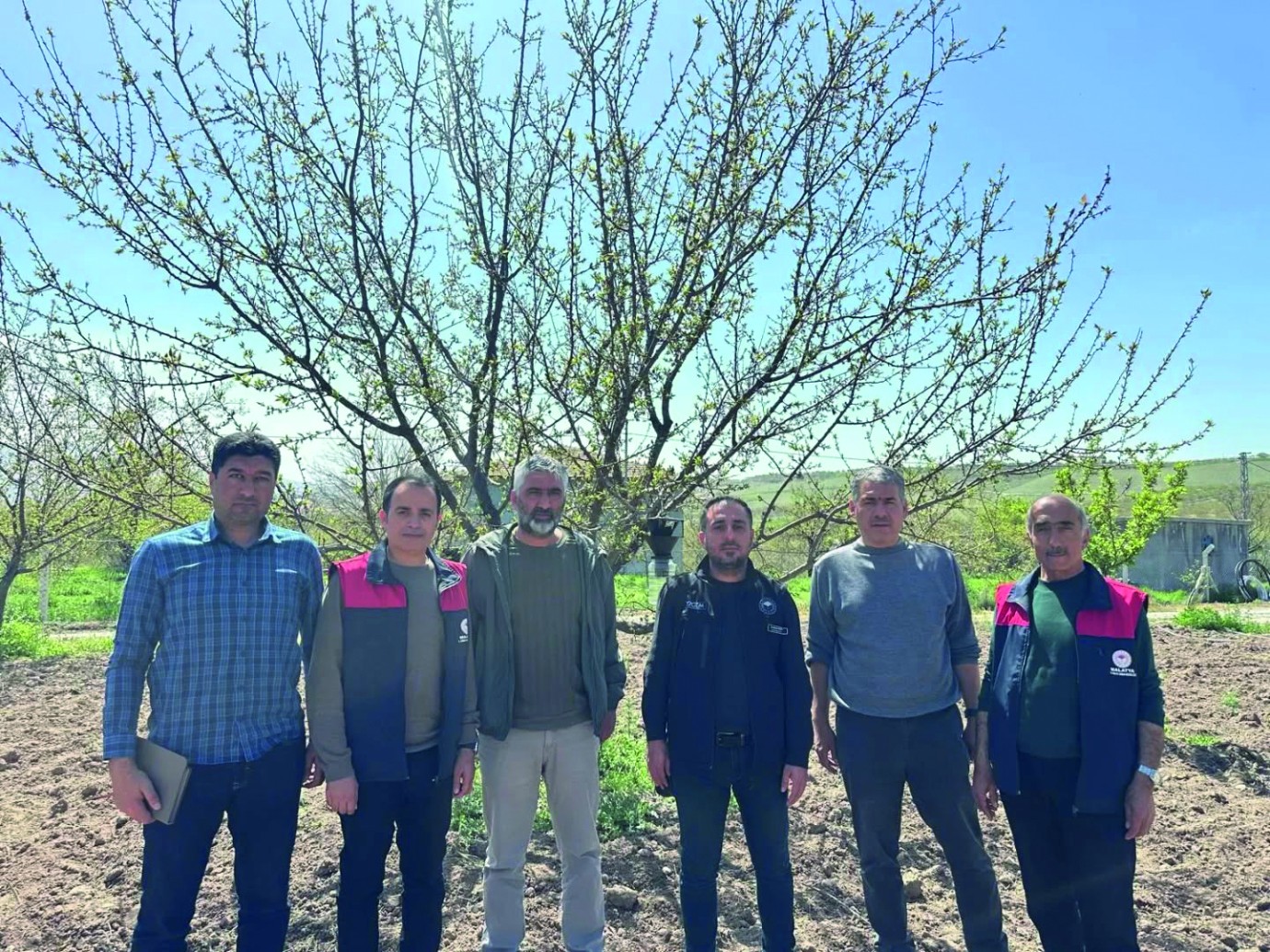 Malatya’da Kahverengi Kokarca Varlığı Araştırılıyor