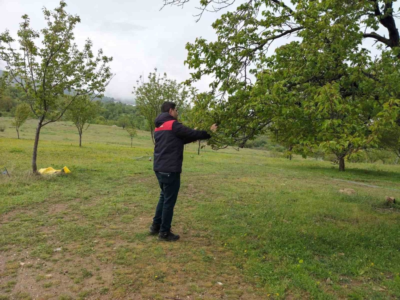 Malatya’da Yaşanan Dolu Sonrası Hasar Tespit Çalışmaları Başlatıldı