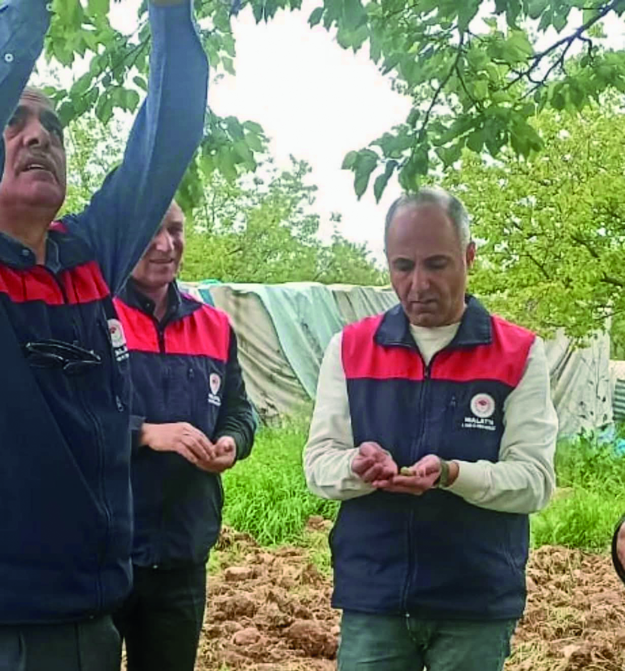 Malatya'da 20 Bin Dekar Alan Doludan Etkilendi  