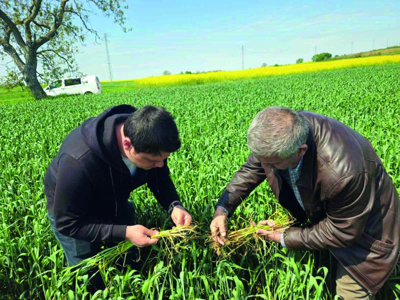 Yağışlar Bereket Getirdi Ama   