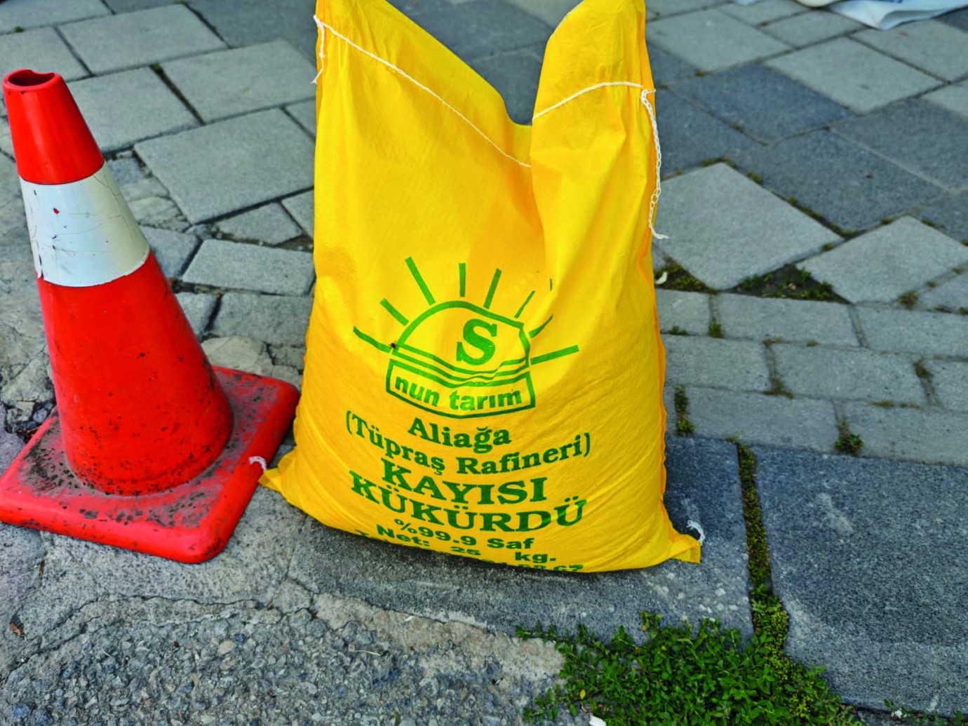 Kayısıda Kükürt Oyununa Dikkat!
