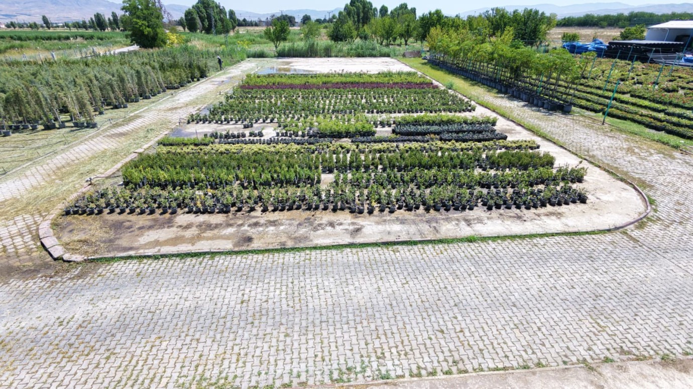 Battalgazi Belediyesi Peyzaj Ürünlerini Kendisi Üretiyor