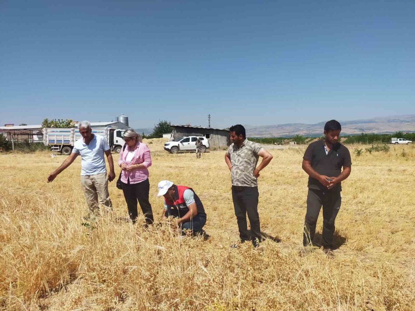 Malatya’da 500 Ton Nohut Üretimi Bekleniyor