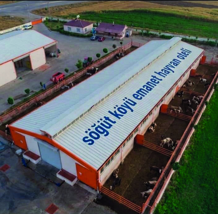Malatya'da Emanet Hayvan Oteli Projesi Hayata Geçiriliyor