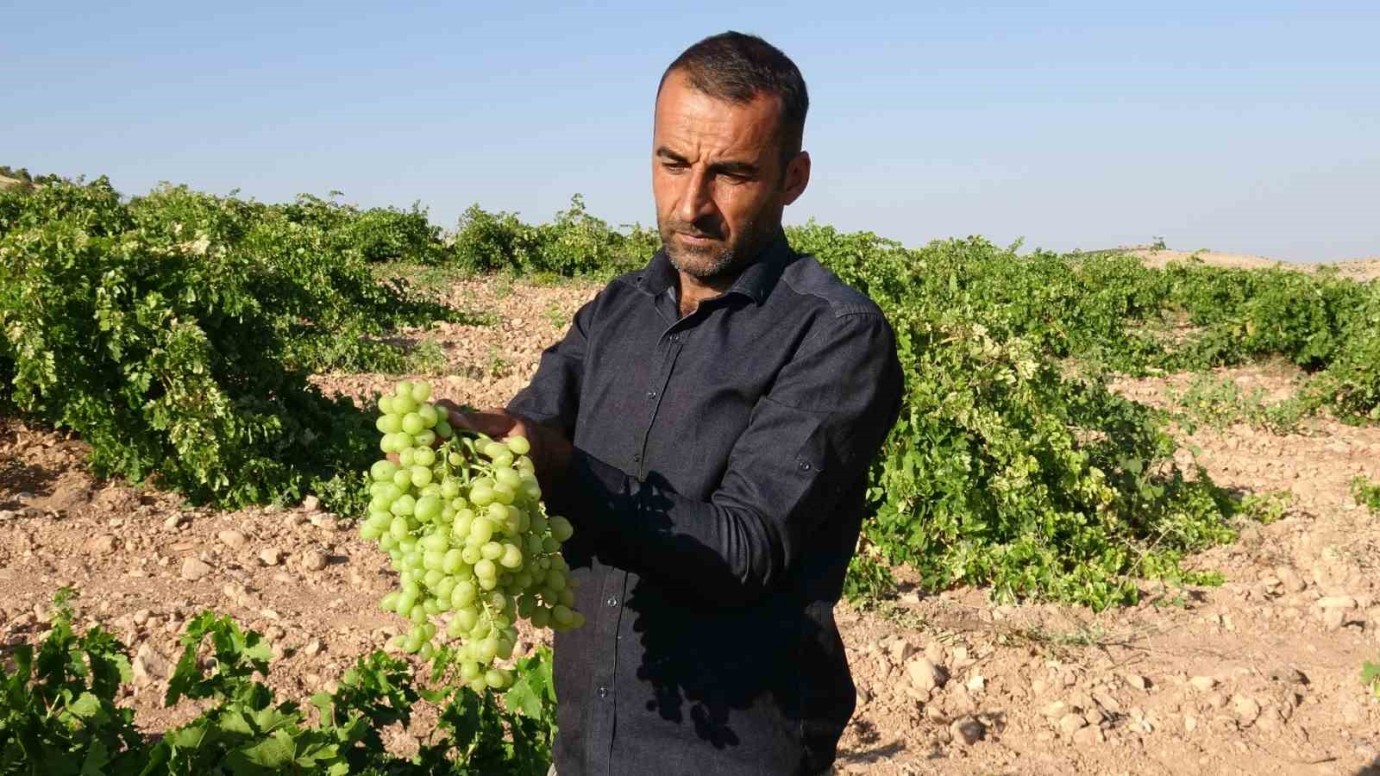 Malatya'nın Meşhur