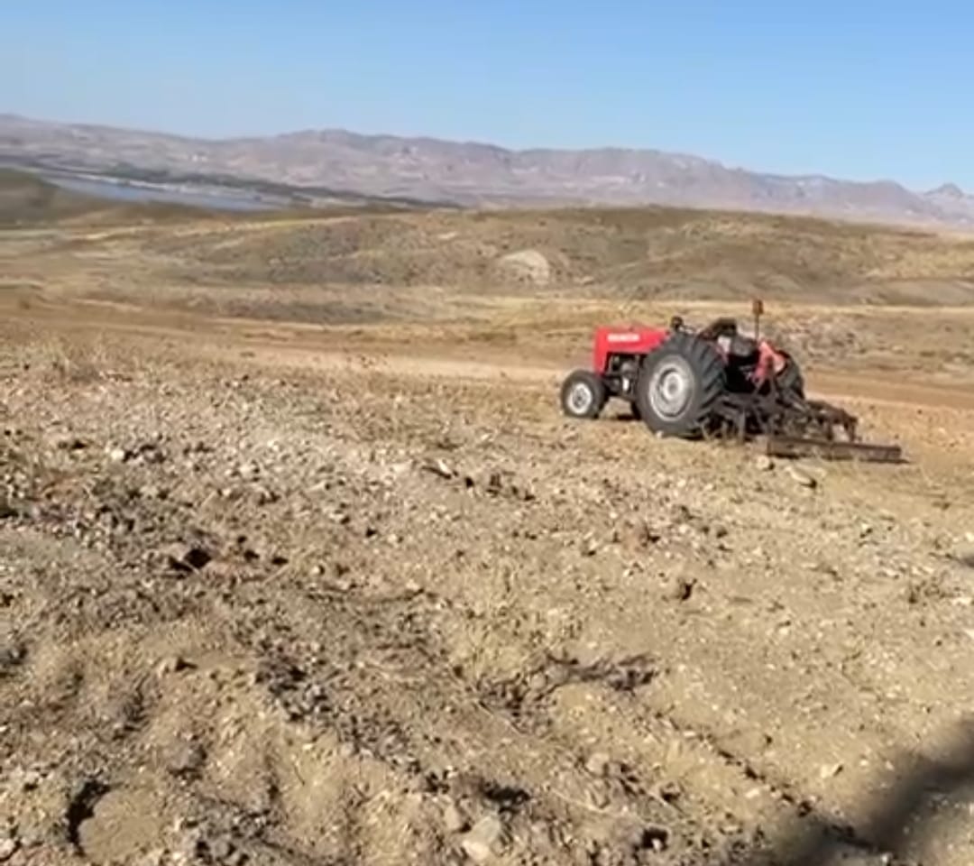 Susuz Çiftçiye ÇKS Müjdesi  Münavebe Zorunluluğu Kaldırıldı!
