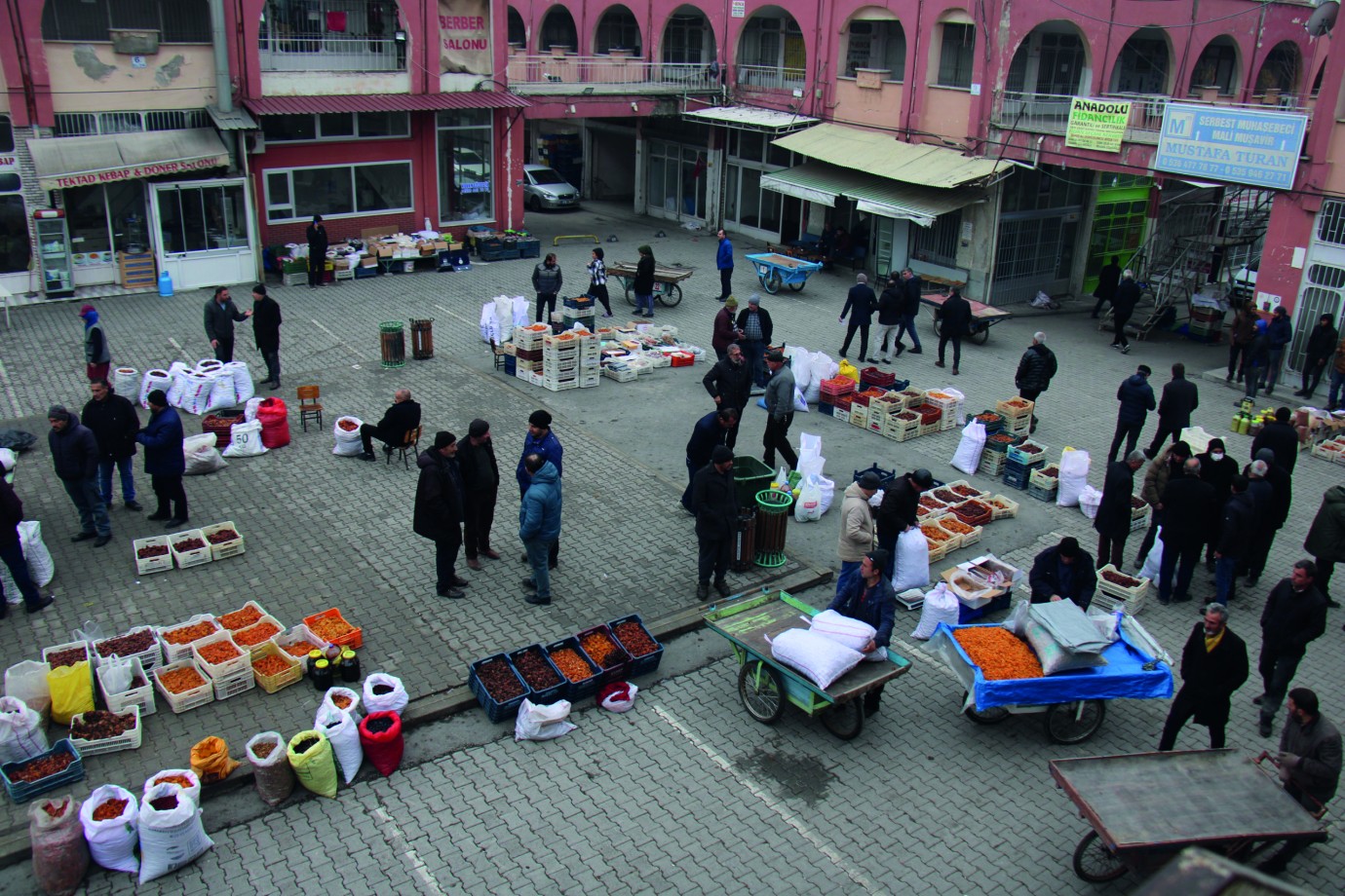 Malatya’da Kayısı Hasadı Bitti, Pazar Kızıştı