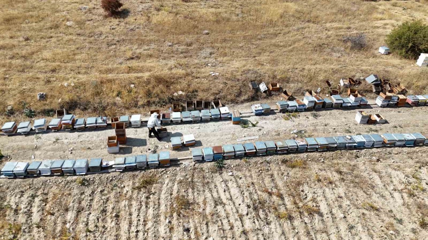 Doğal Yöntemlerle Üretilen Malatya Balı Taleplere Yetişemiyor