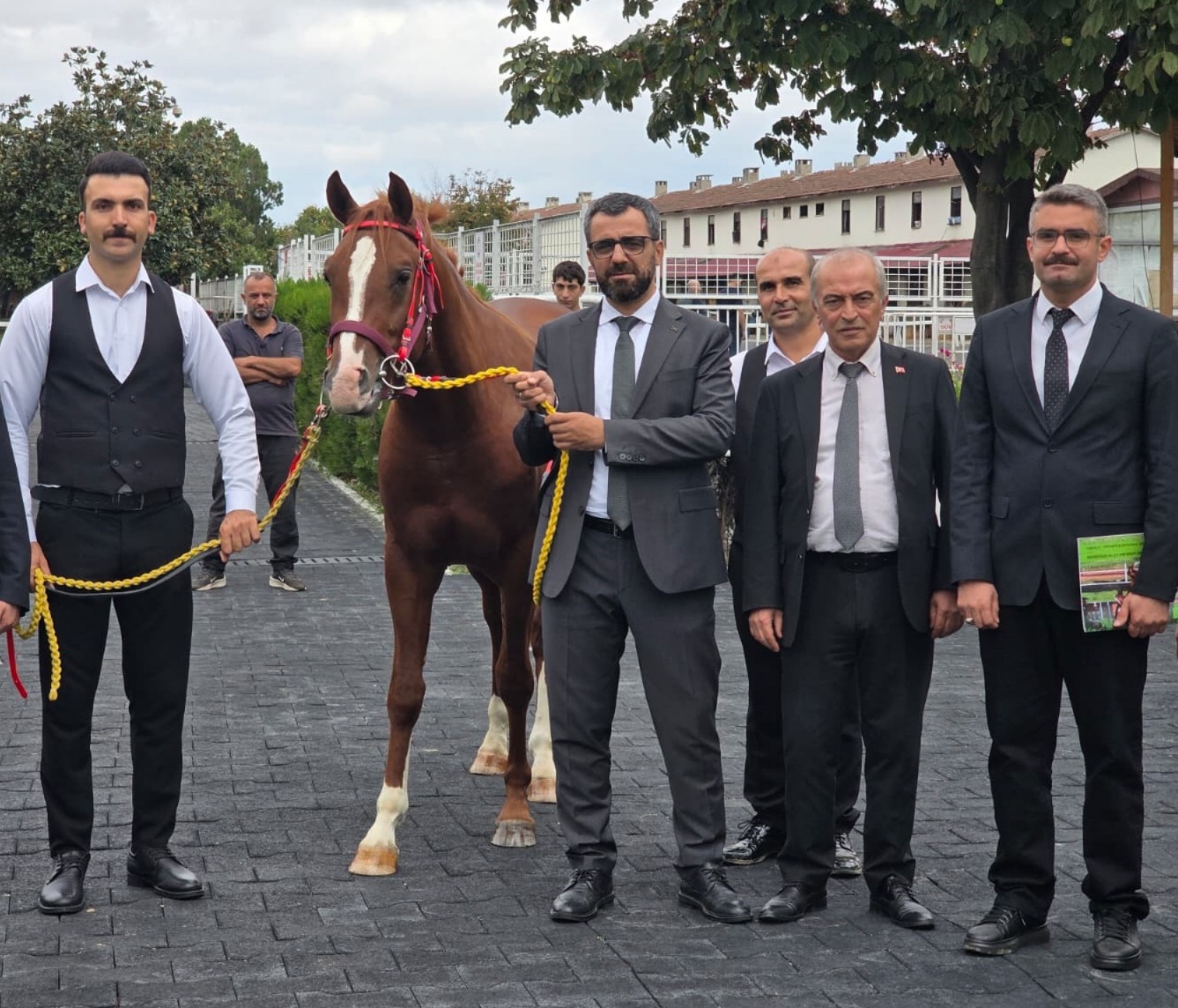 Sultansuyu Harasında Yetiştirilen 13 Taydan 51,6 Milyon TL Gelir Elde Edildi!