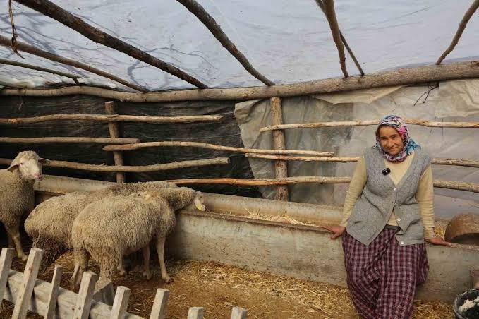 Malatya'ya Dev Hibe Desteği...25 Proje Kabul Edildi 